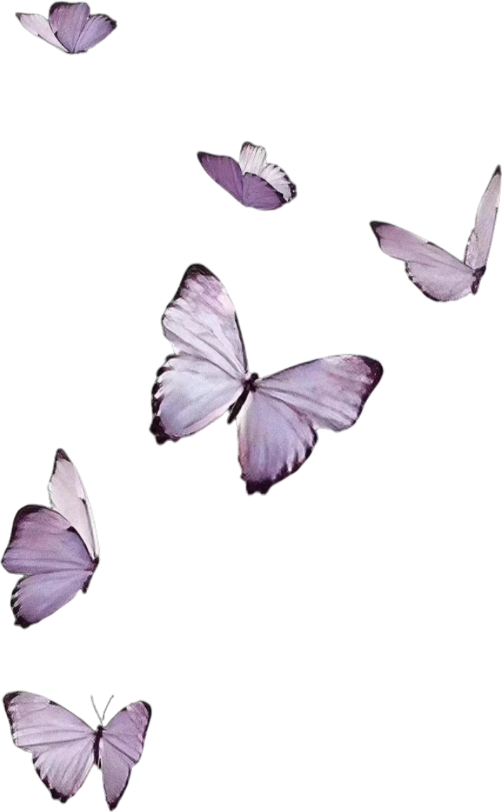 retouch_2026090616563701.png