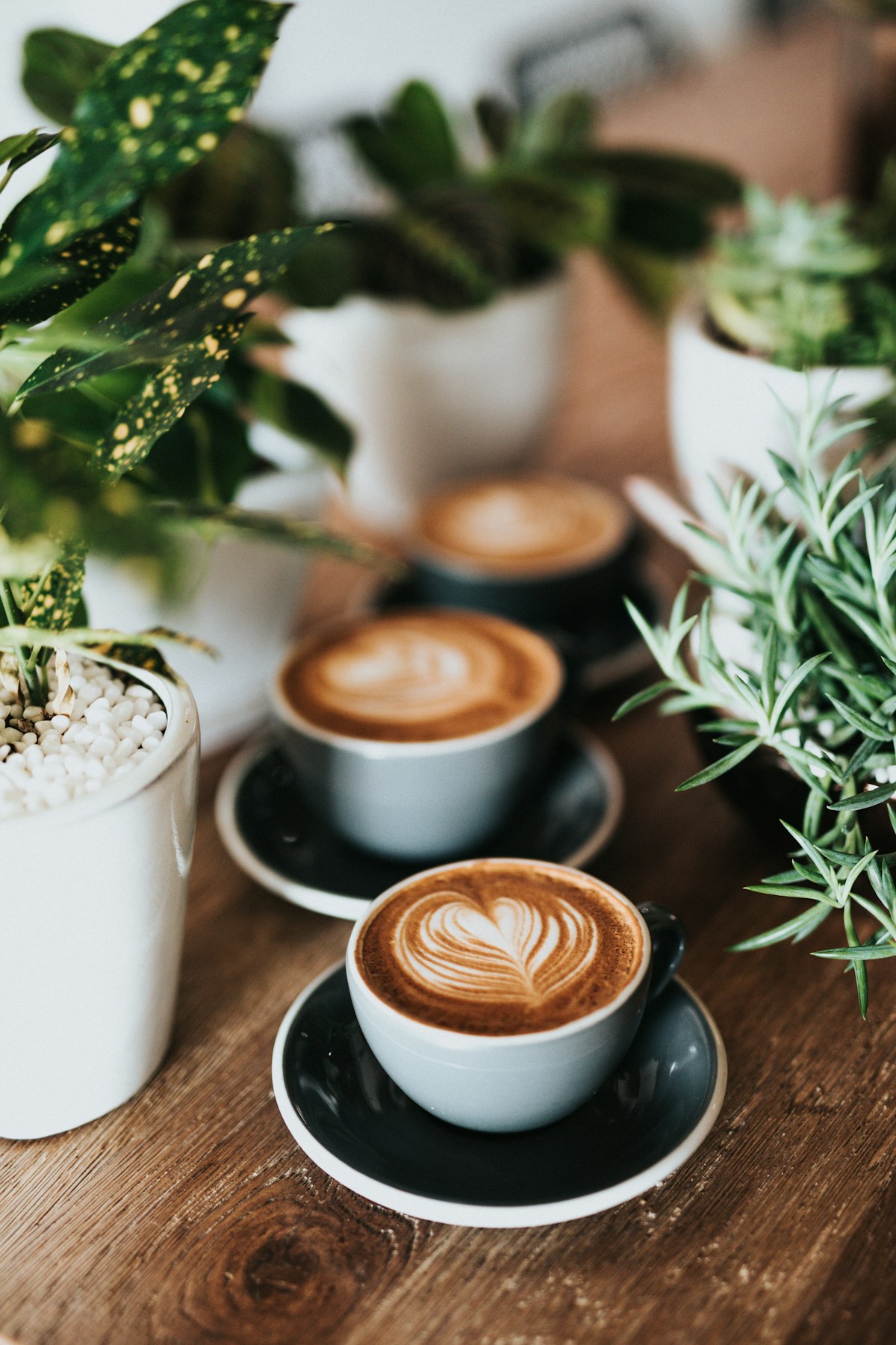 flat-white.jpg