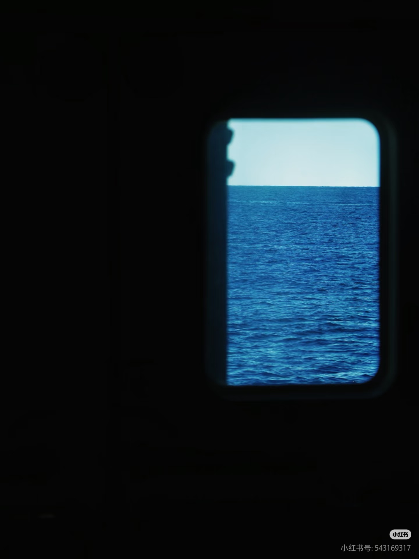 Camera_1040g3k831m9lhghn58804bj2nirfurlf6mrmseg.jpg
