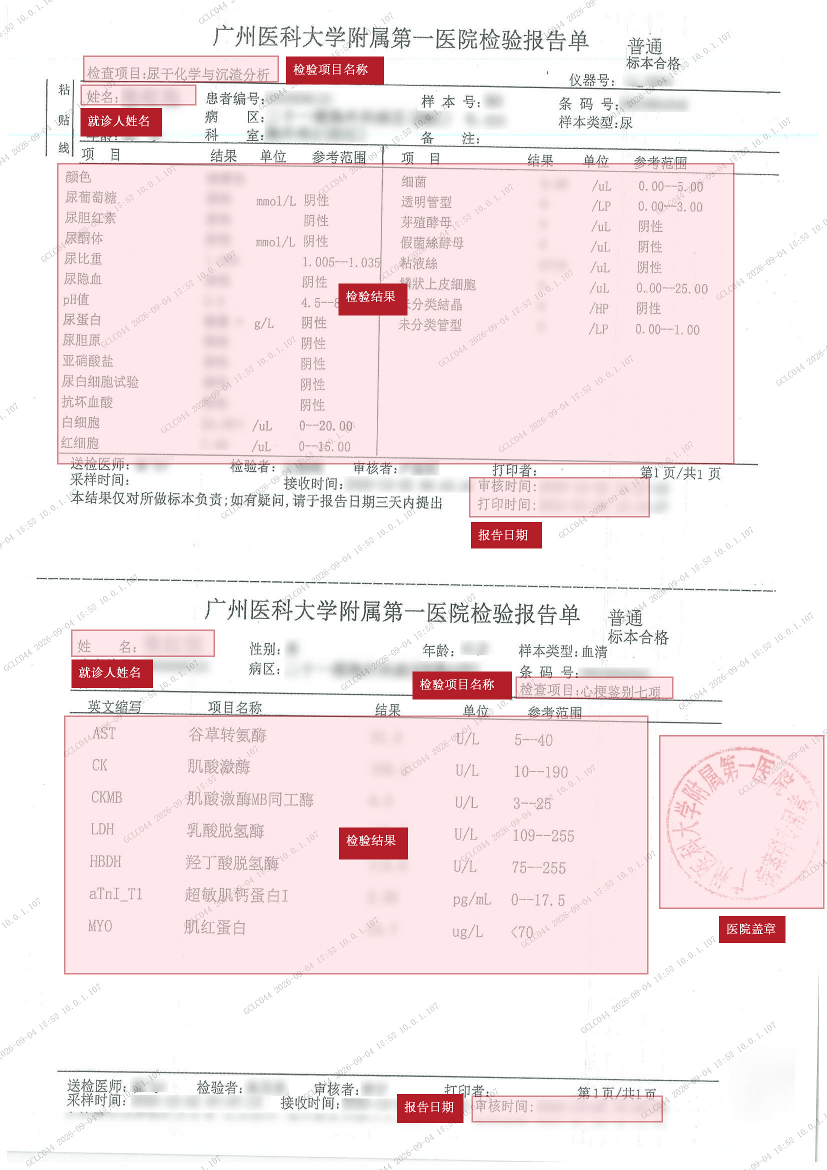 化验报告（粉色）.jpg