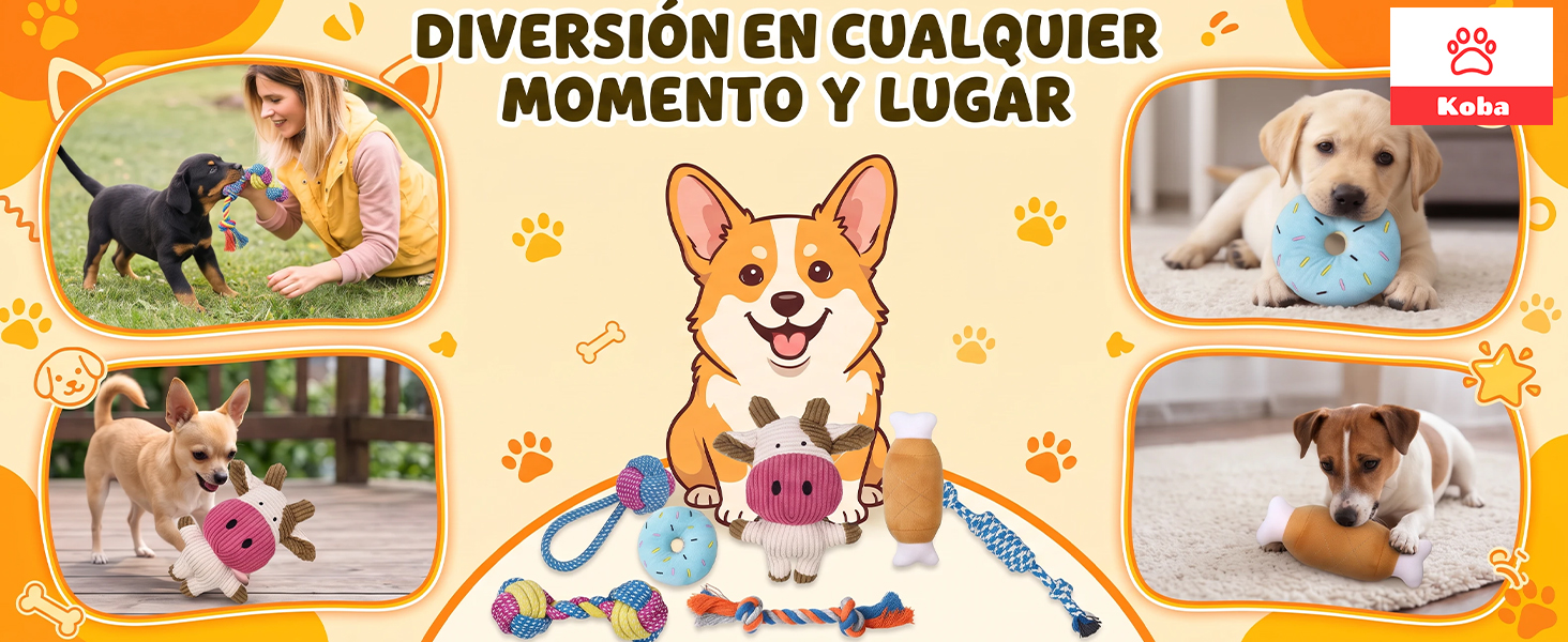 banner2.jpg