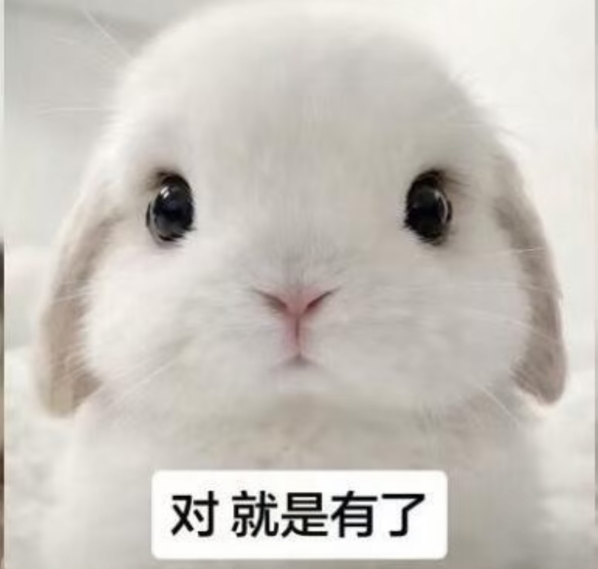 IMG_6103.jpeg