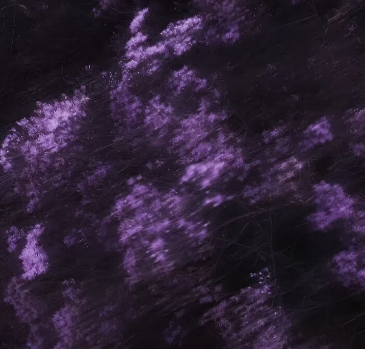 Screenshot_20260907_140811.jpg