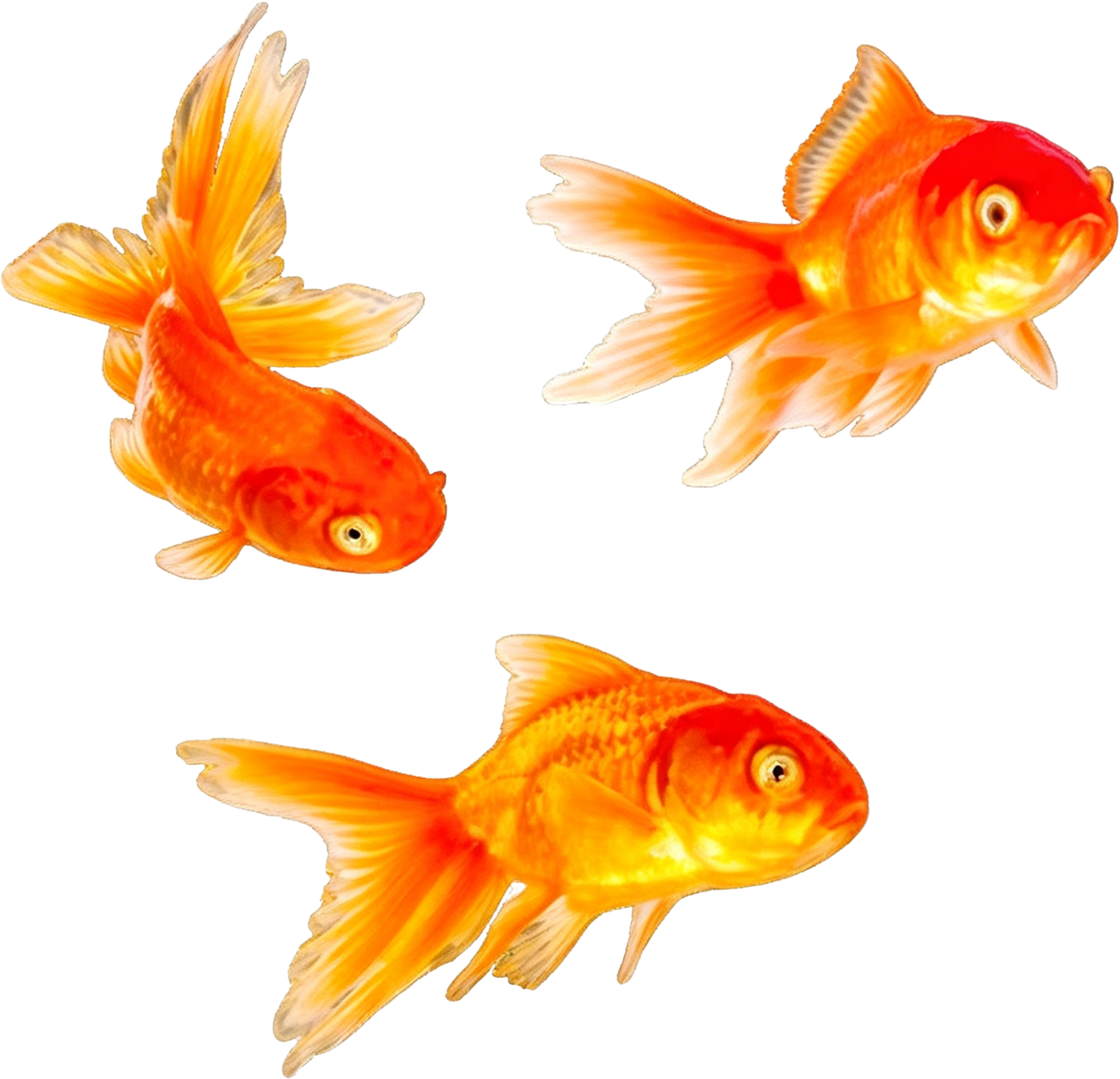 retouch_2026090712055871.png