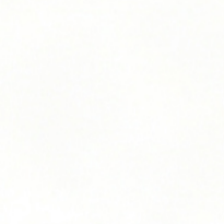 13005.png