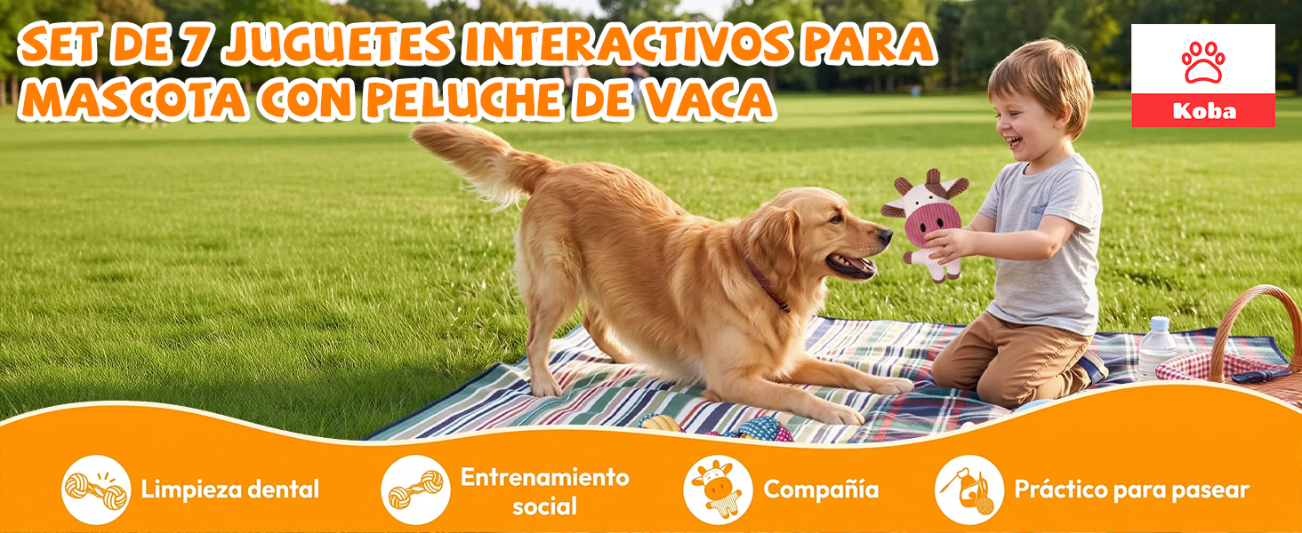 banner1.jpg