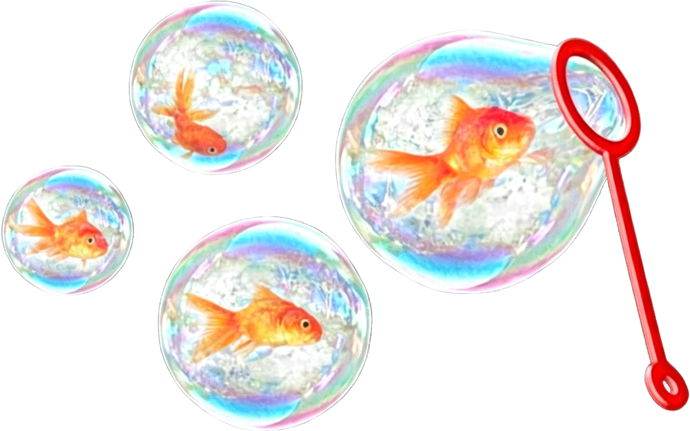 retouch_2026090712054649.png