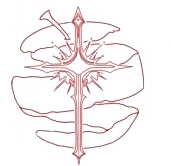 333.png