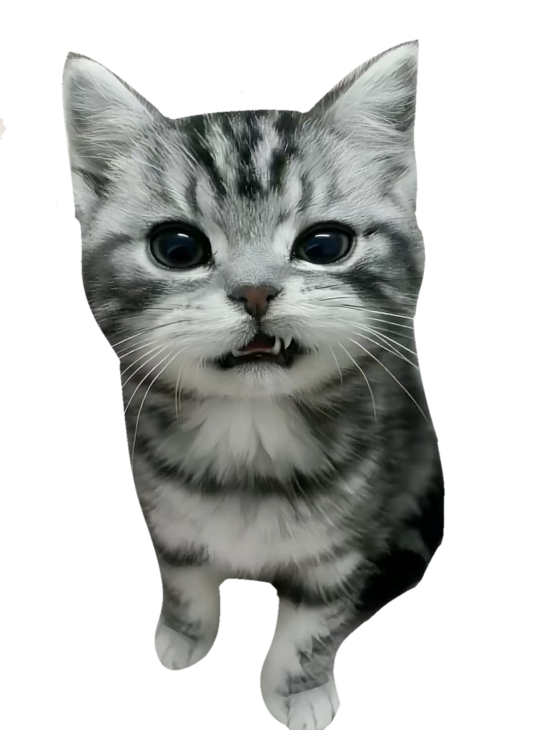 1788778118048.png