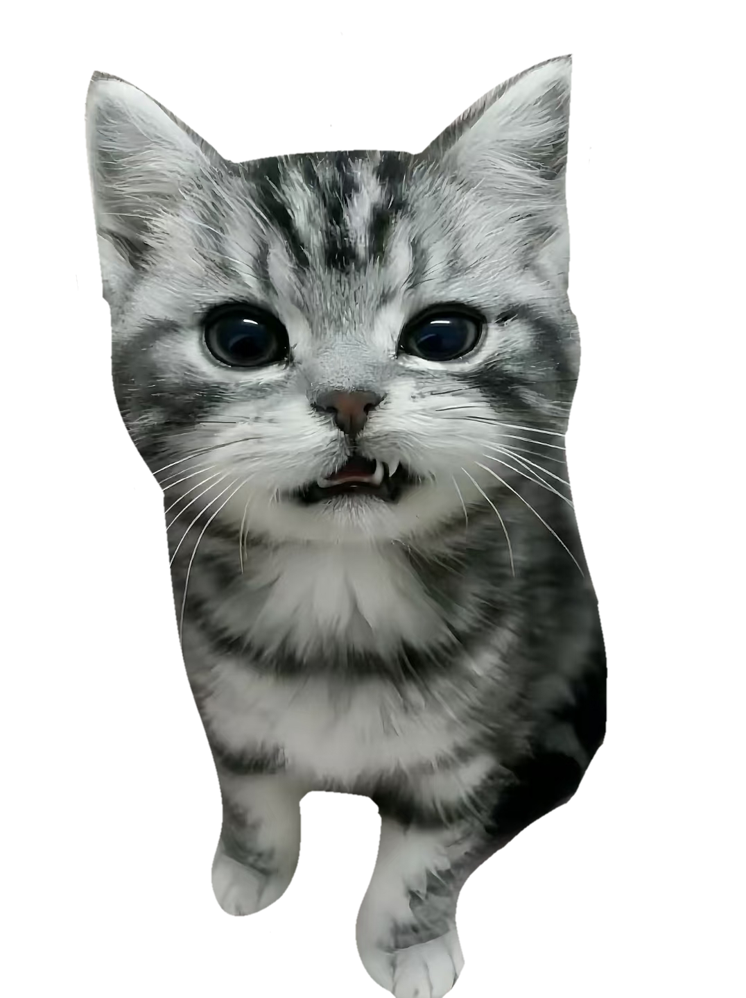 1788778241501.png