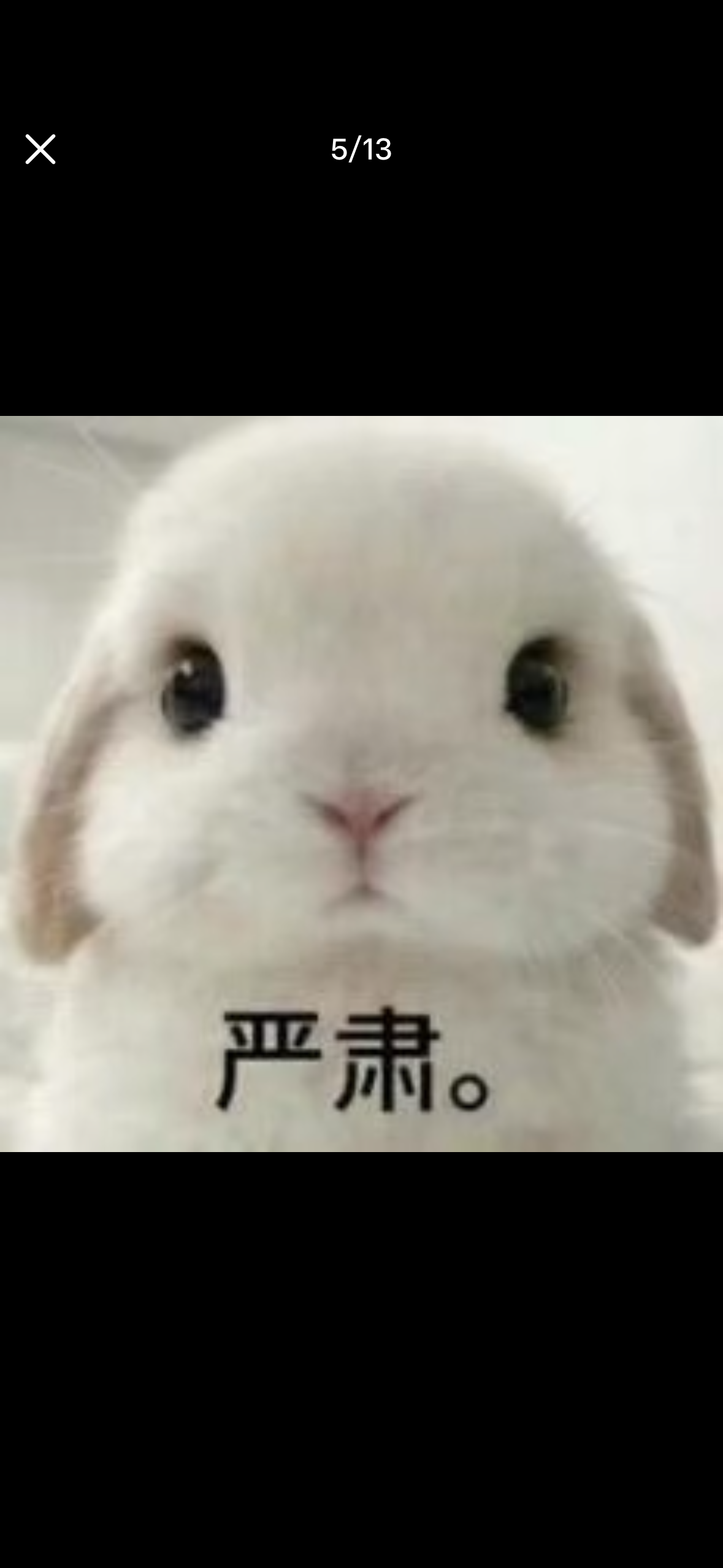 IMG_6102.png