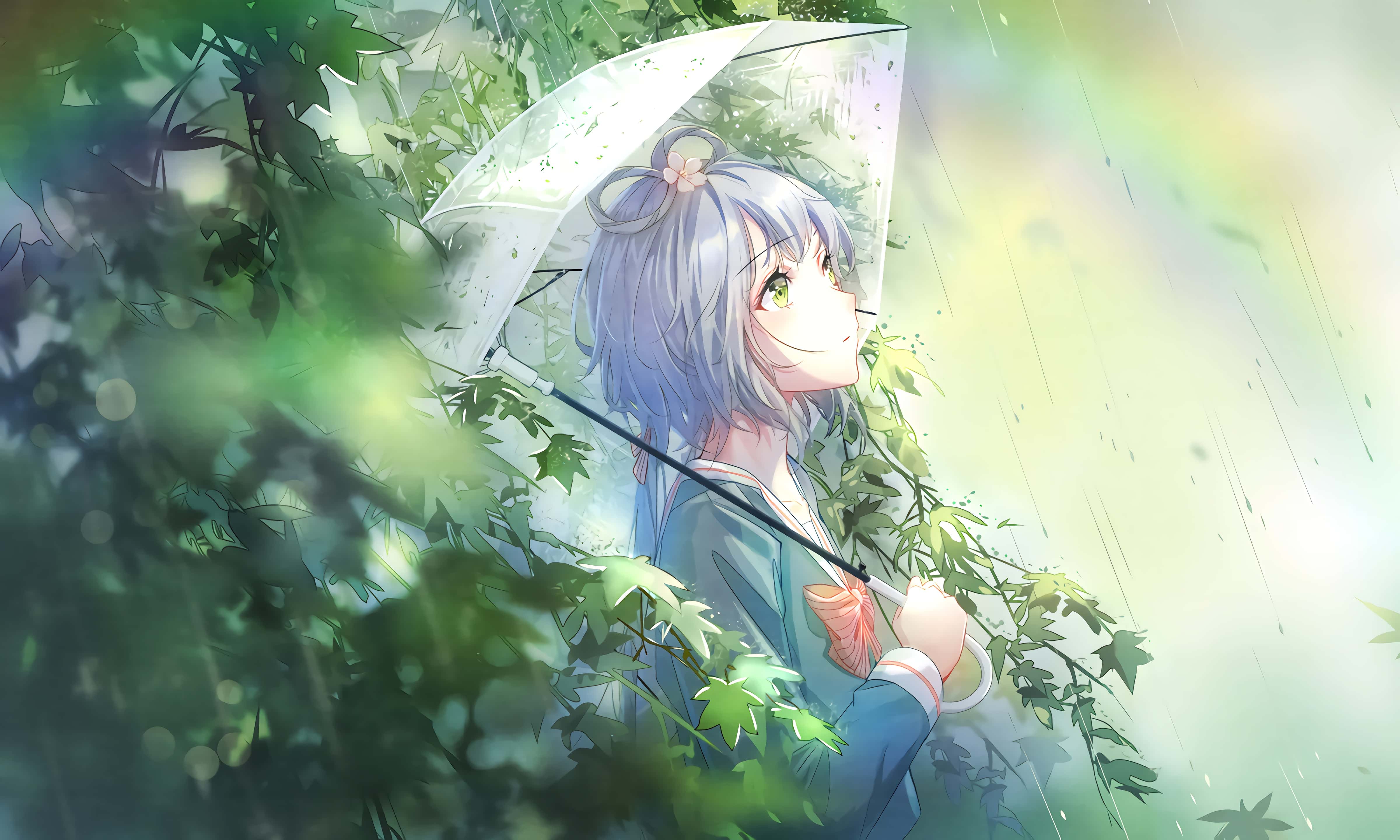 菜菜小园