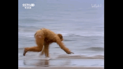 海上.gif