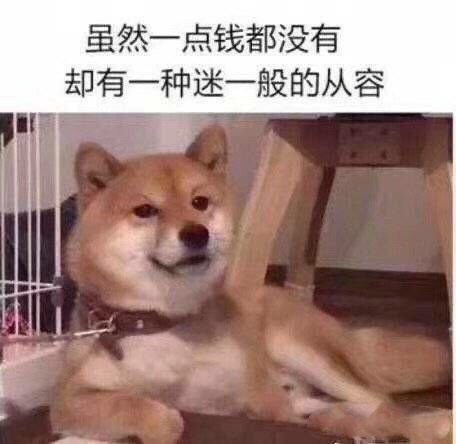 1375258632.jpeg