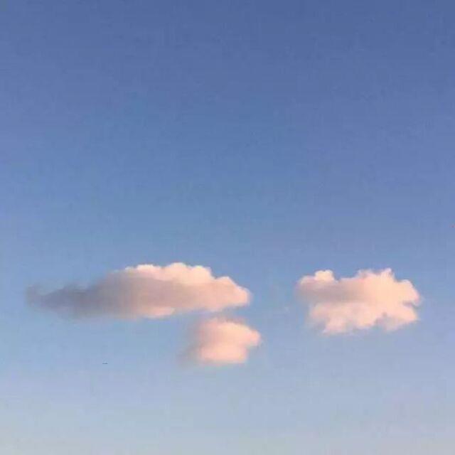 img.jpg