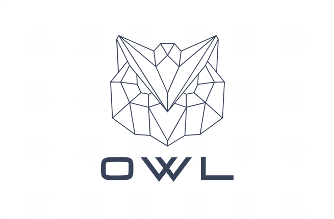 关于OWL单职业循环
