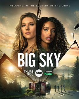 Big Sky Season 2海报