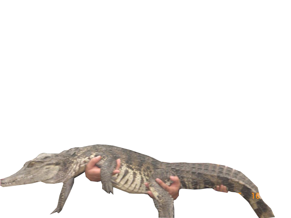 123