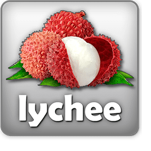 lychee-logo.png