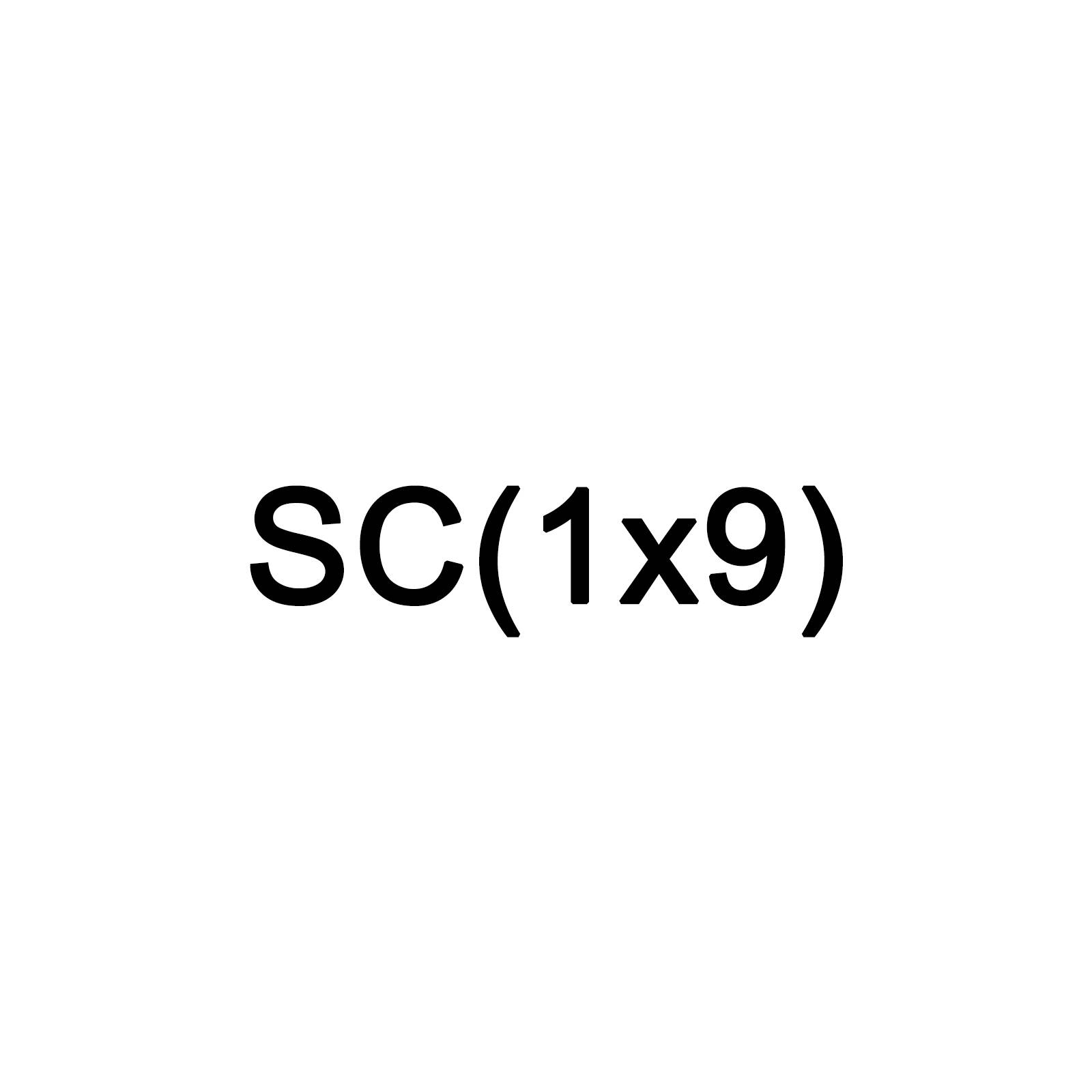 SC(1x9).jpg
