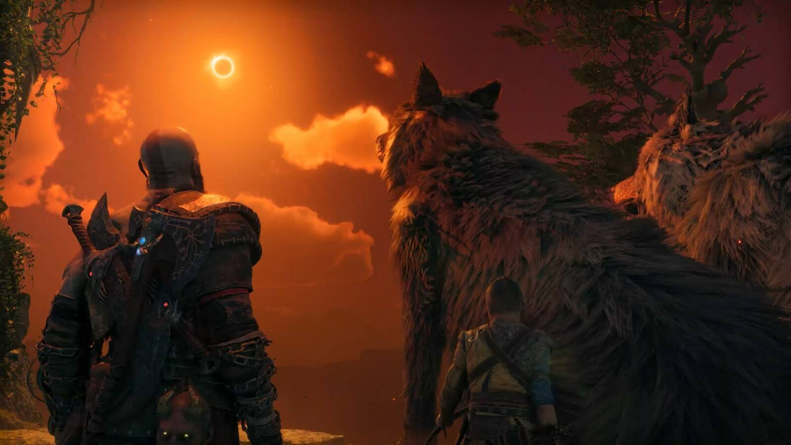 banner.jpg