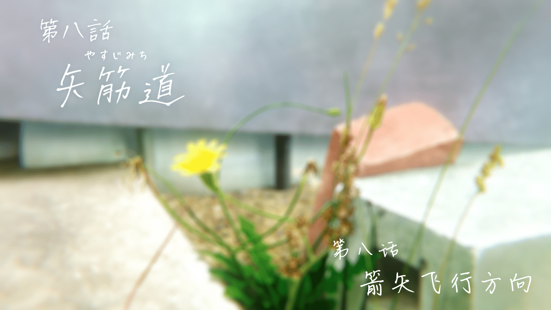 [猎户不鸽压制] 弦音 -联系的一箭- Tsurune：Tsunagari no Issha [08] [1080p] [简中内嵌] [2023年1月番]插图icecomic动漫-云之彼端,约定的地方(´･ᴗ･`)2