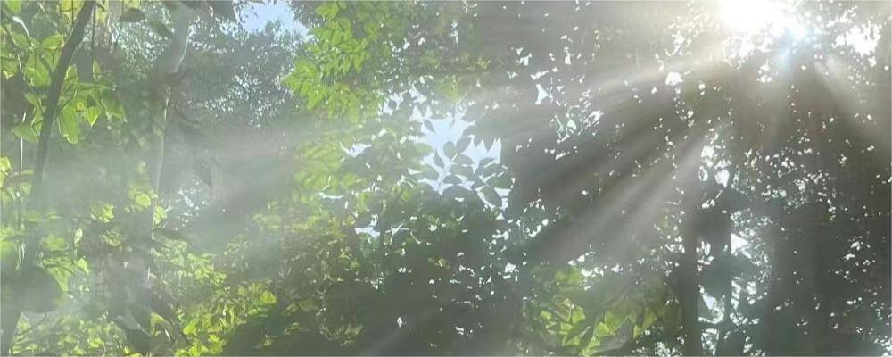 幻灯片-灵思铺子