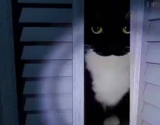 e9d465ab35ee5225.jpg 