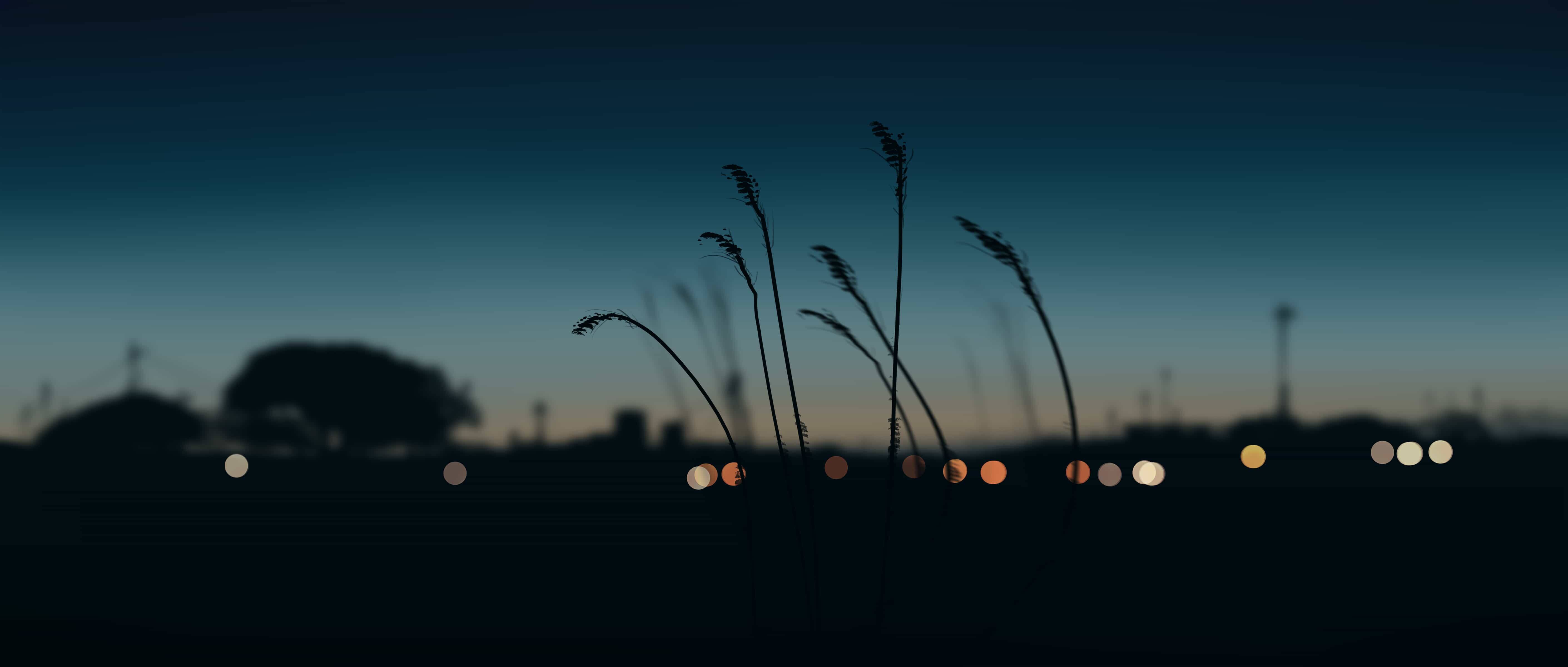 Chrome浏览器自带翻译的诡异Bug：ID翻译后竟然变化了