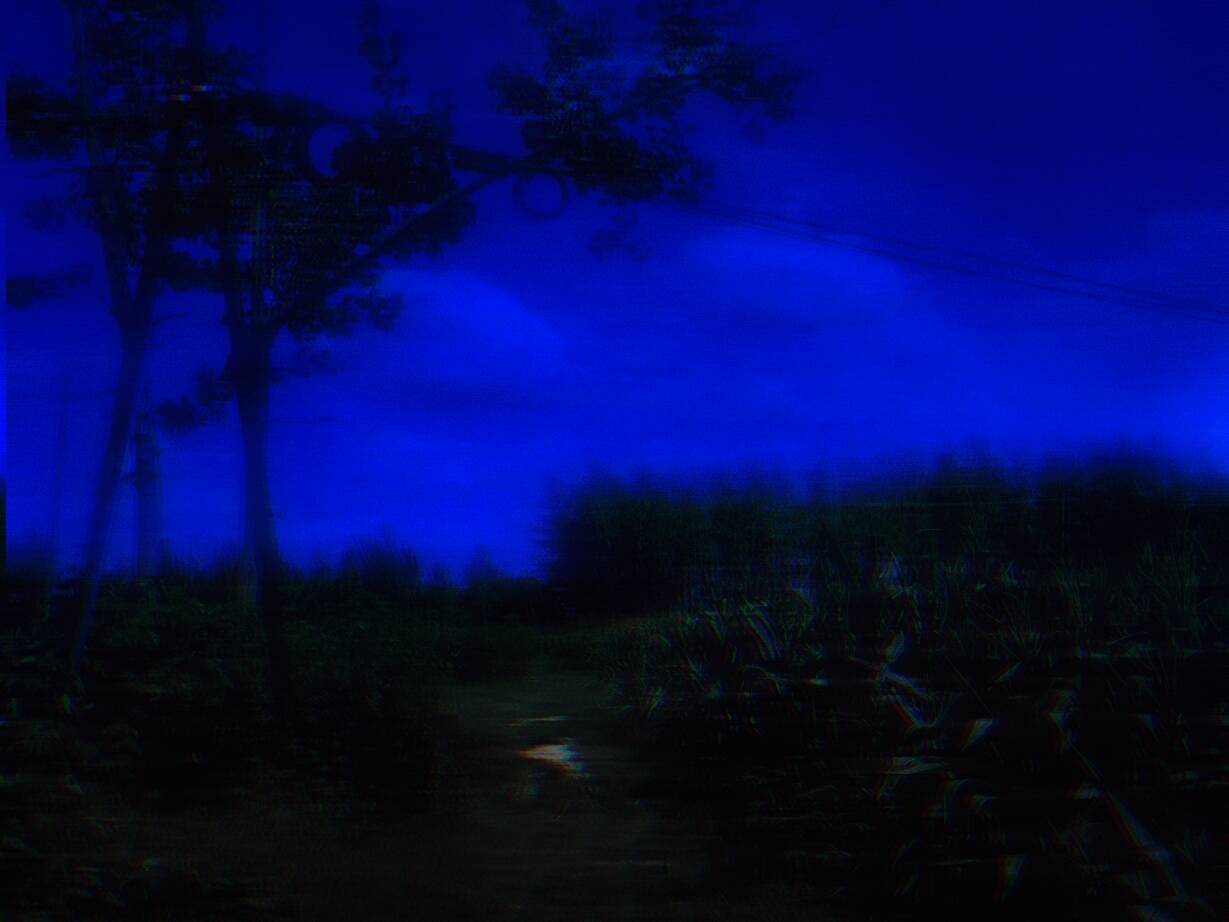 c2d008ba6893535e.jpg
