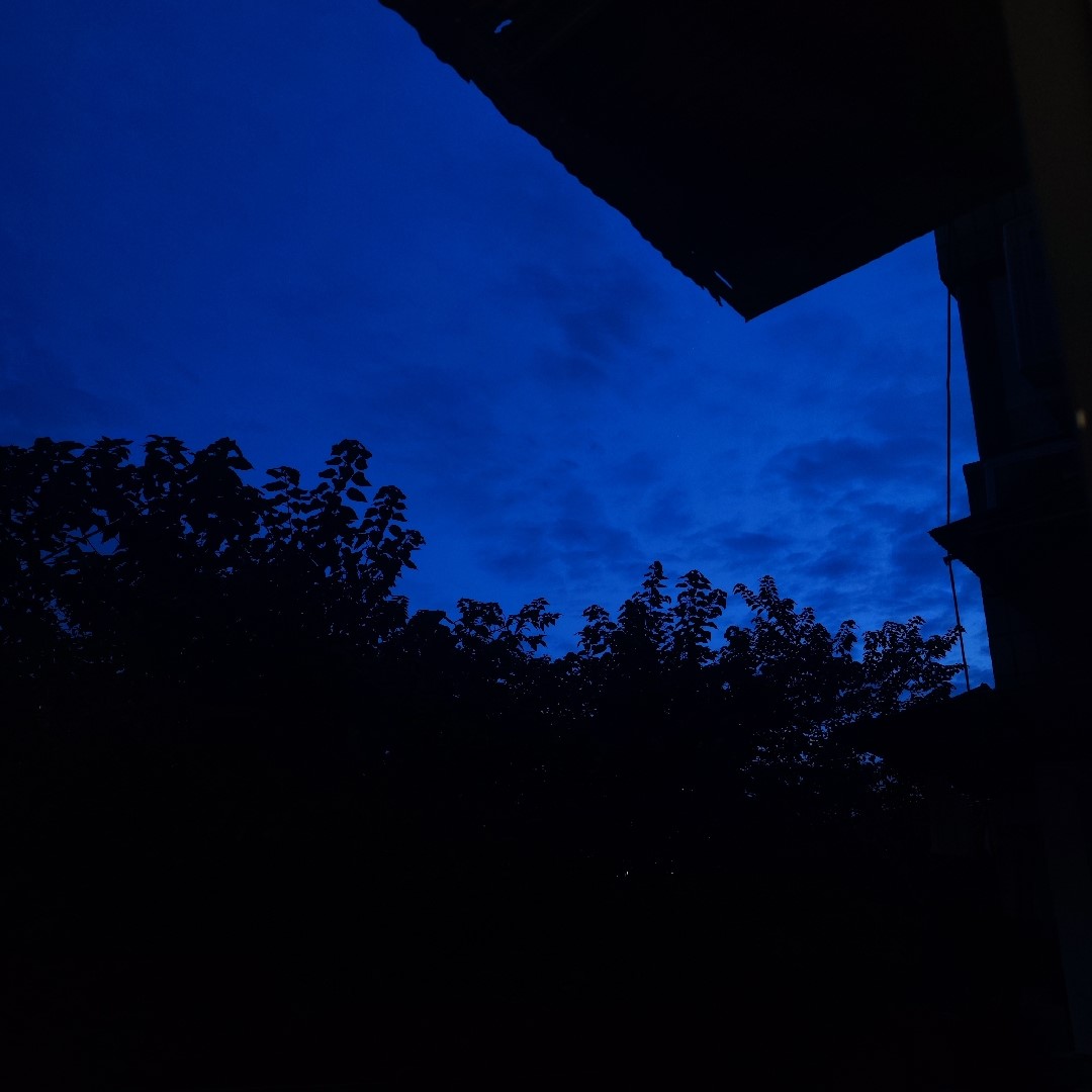 d129f00699df55b4.jpg