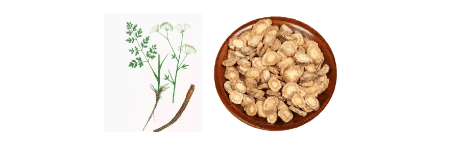 寒冬腊月纸糊窗--「防风」