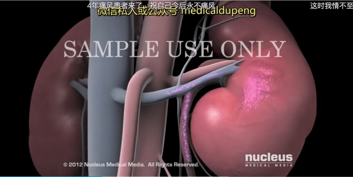 请输入图片描述