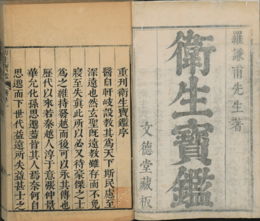 衛生寳鑑 二十四卷,補遺一卷/羅天益撰