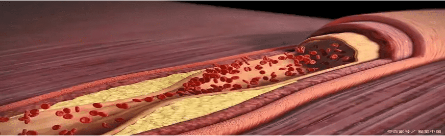 请输入图片描述