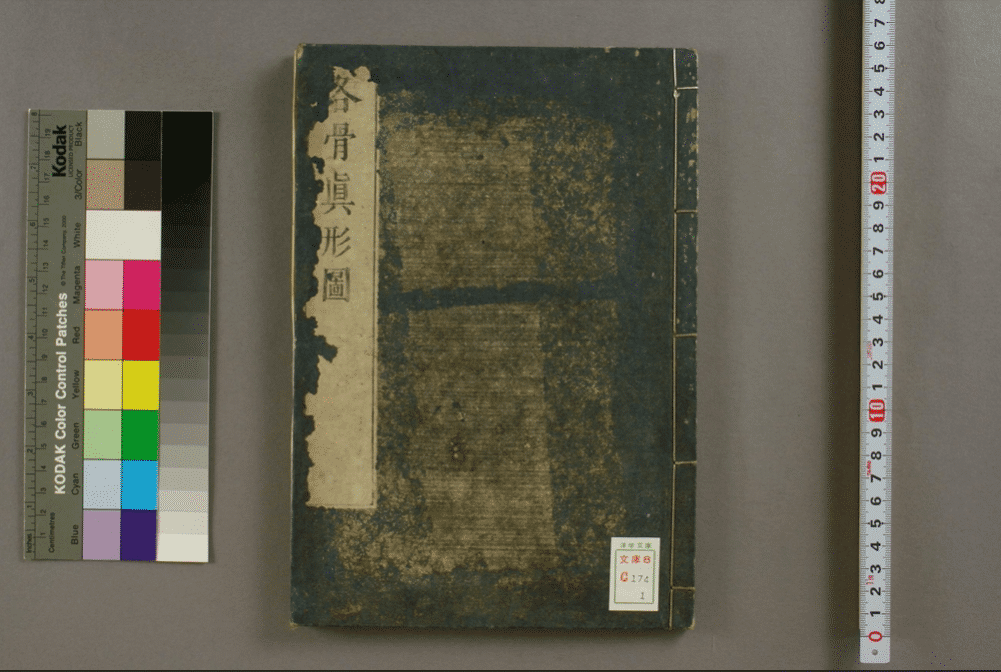 请输入图片描述