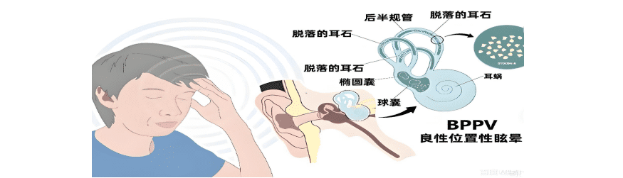 请输入图片描述