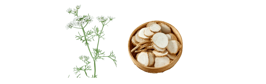 请输入图片描述