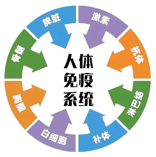 请输入图片描述