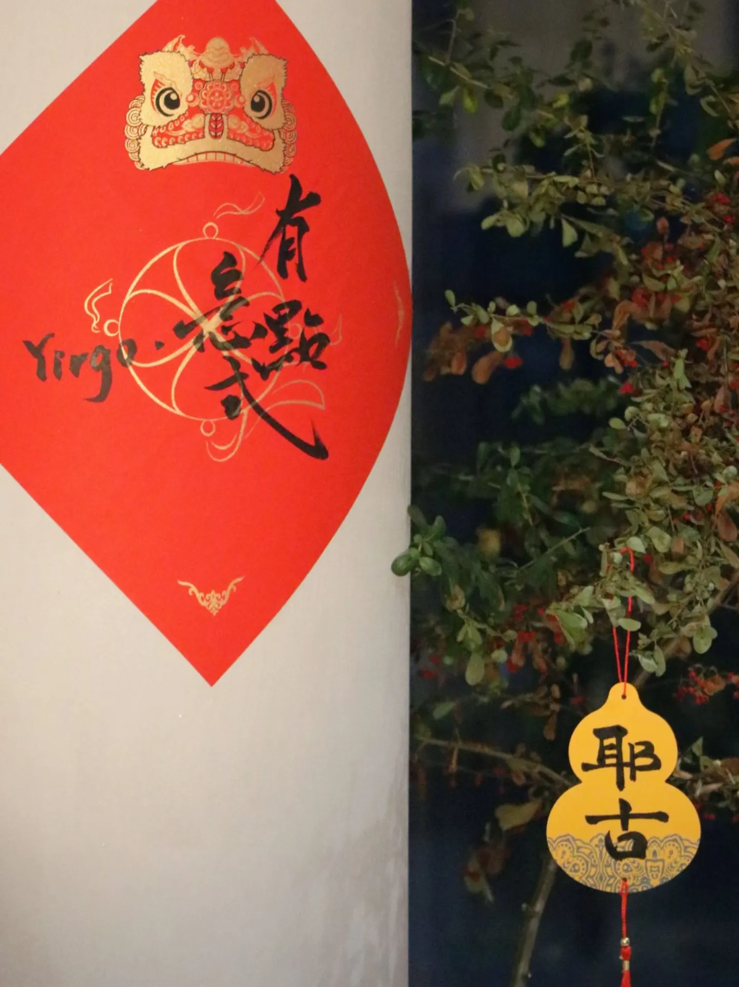 Love You, Laoji|爱你,老己