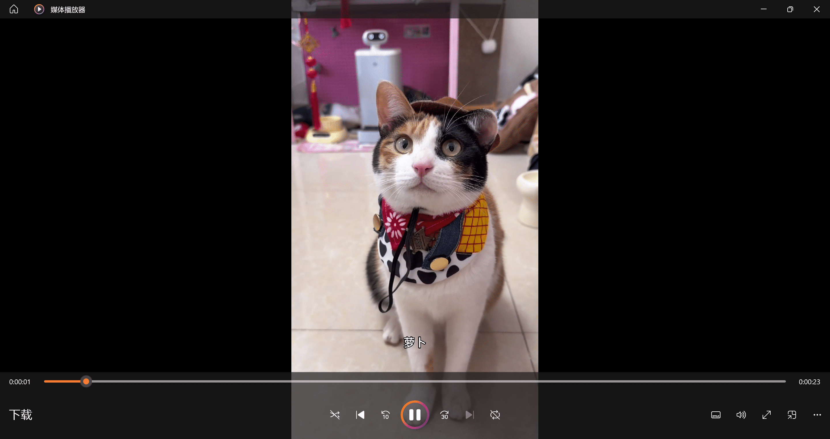 图片[4]-SnapAny – 万能短视频无水印下载网站-万象软件库