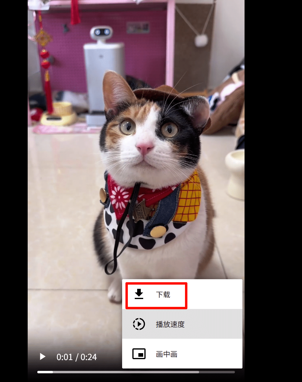 图片[3]-SnapAny – 万能短视频无水印下载网站-万象软件库